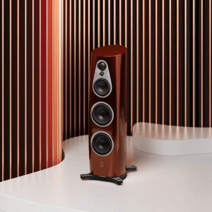 Linn 360 loudspeakers in Single Malt