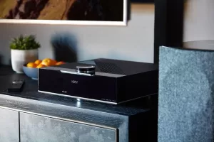 Linn Selekt DSM Demo